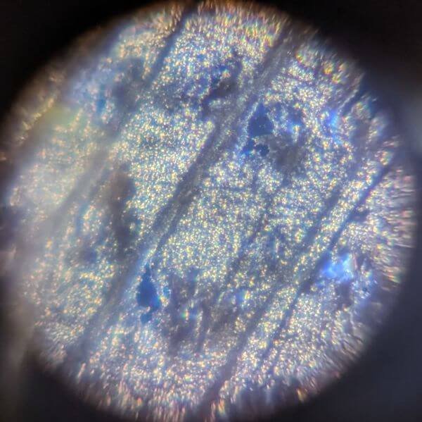krul 0.02mm onder microscoop 40x
