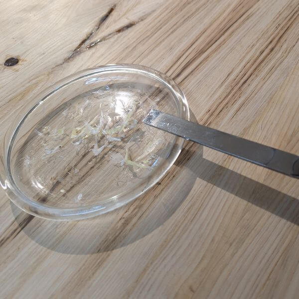 dunne epoxy snippers ... dunne epoxy snippers ...