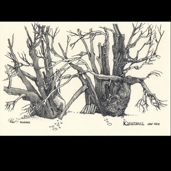 het verhaal van mijnheer Kastanje het verhaal van mijnheer Kastanje