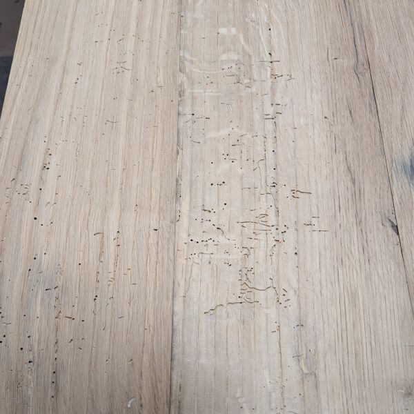 houtworm is er wel uit maar heeft veel sporen achtergelaten houtworm is er wel uit maar heeft veel sporen achtergelaten