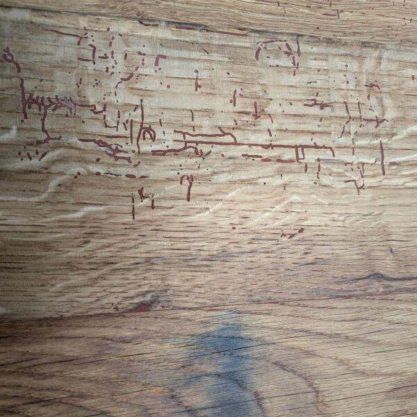 lijkt wel "arabisch" lijkt wel "arabisch"