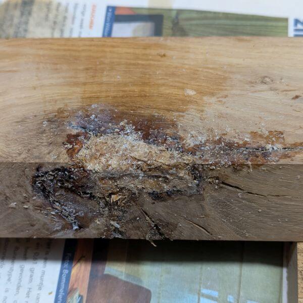 resultaat van vullen met krullen