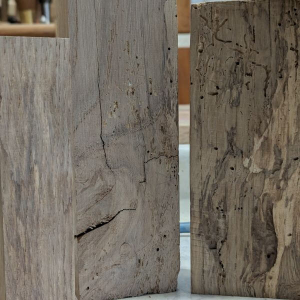 ook houtworm en scheuren zijn een uitdaging