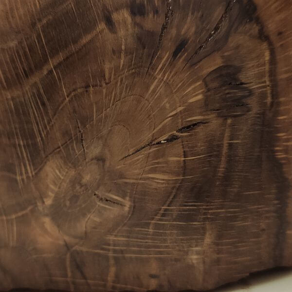 nerven en stralen nerfstructuur en houtstralen. Eiken schaal