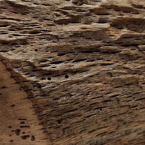 prachtige verweerde structuren eiken verweerde structuren