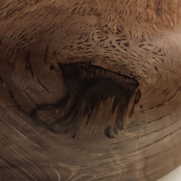 aanhechting tak aanhechting tak eiken