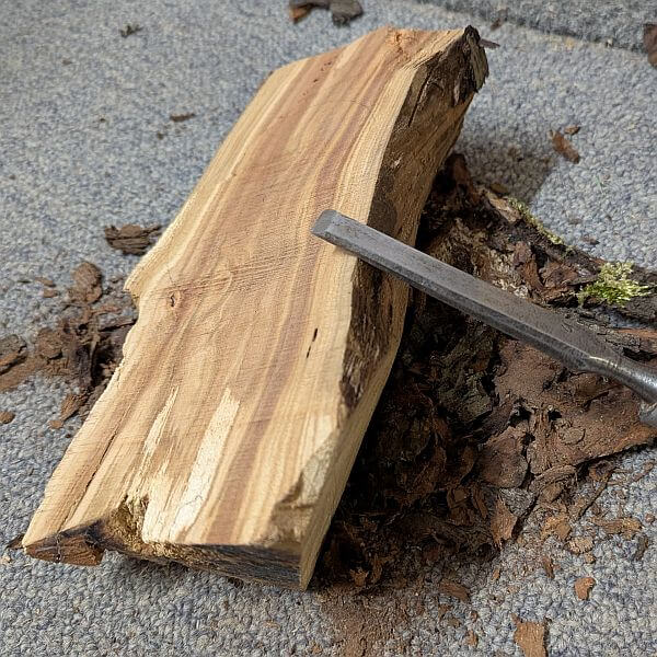 Perzik stammetje ontbast