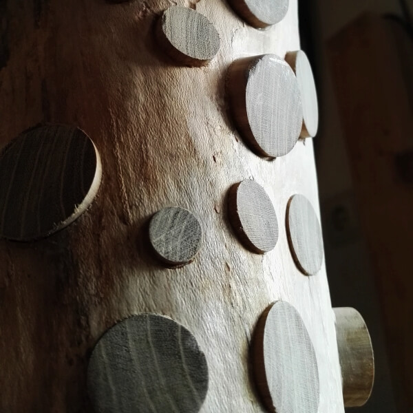 Laburnum Knots